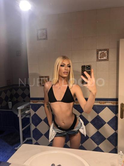 NuevoLoquo2