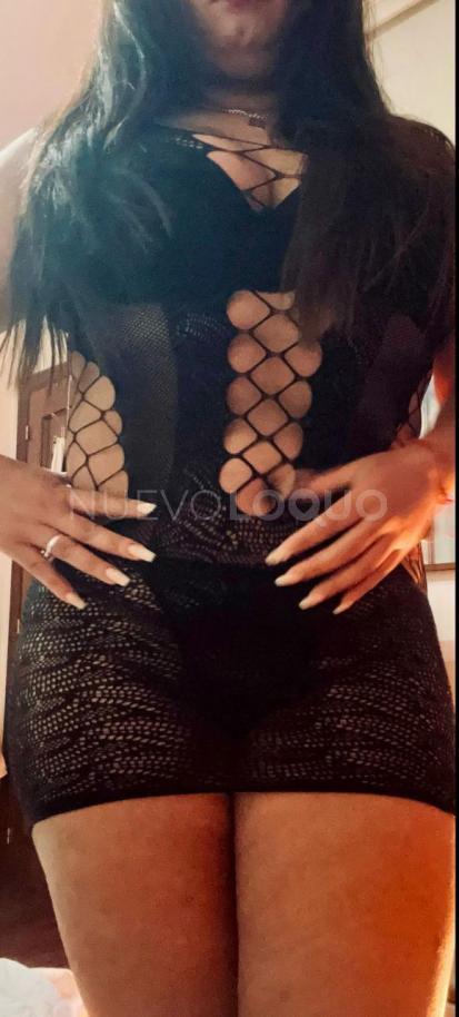 NuevoLoquo3