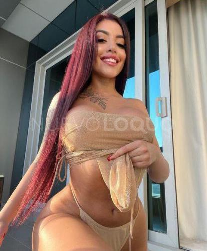 NuevoLoquo3
