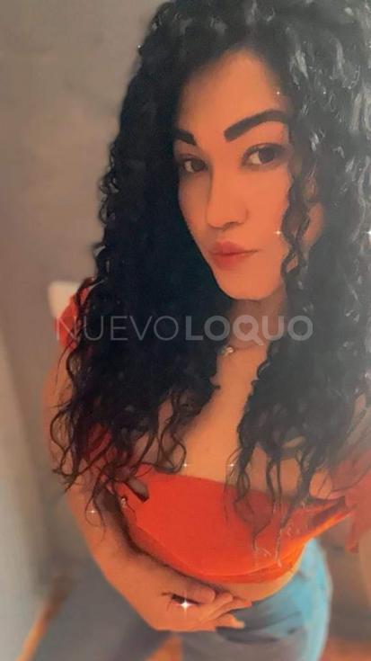 NuevoLoquo3
