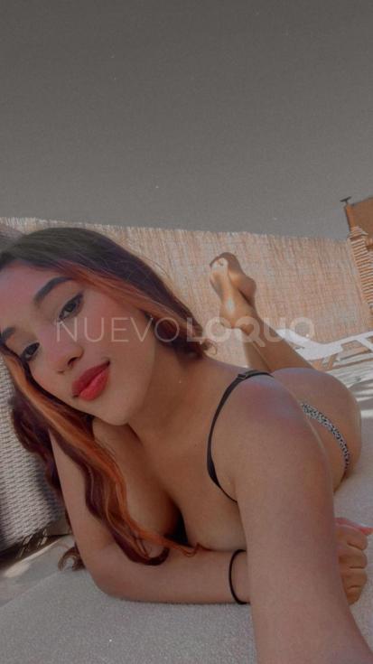 NuevoLoquo3