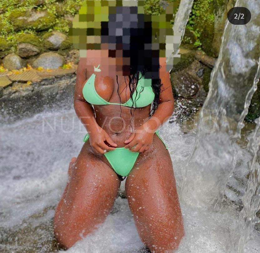 NuevoLoquo1