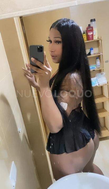 NuevoLoquo3