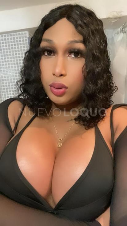 NuevoLoquo4