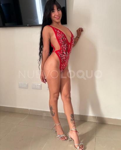 NuevoLoquo3