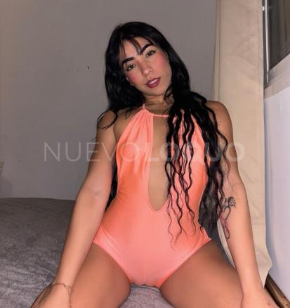 NuevoLoquo5