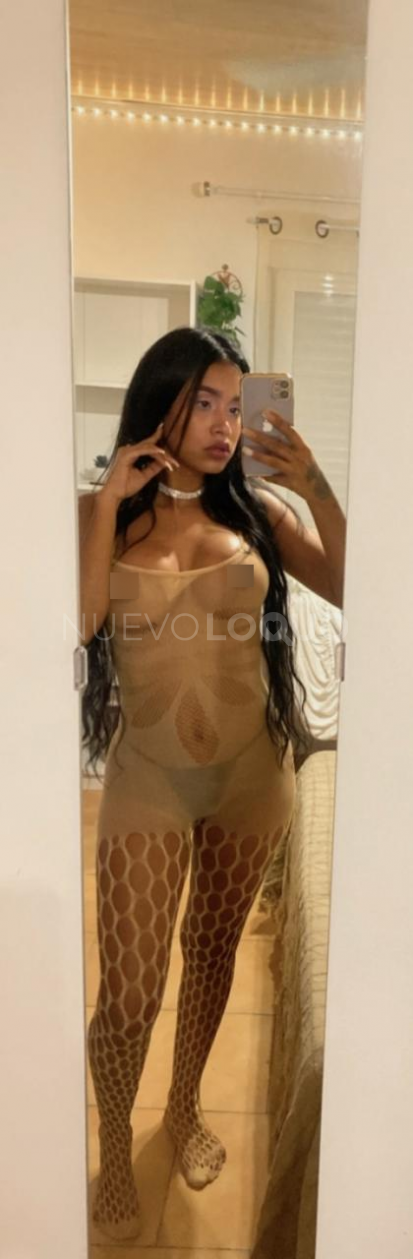 NuevoLoquo2