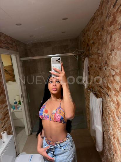 NuevoLoquo2