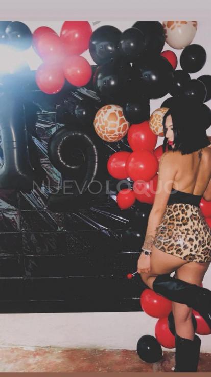 NuevoLoquo2