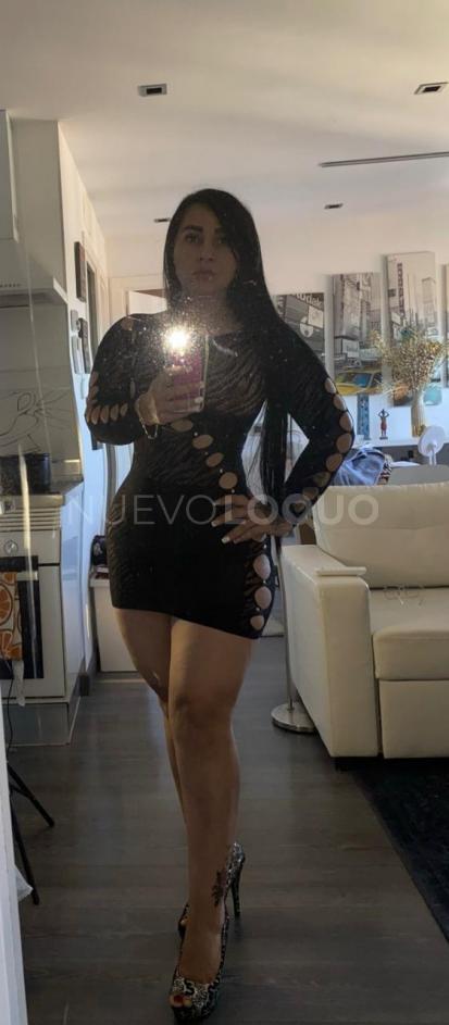 NuevoLoquo5