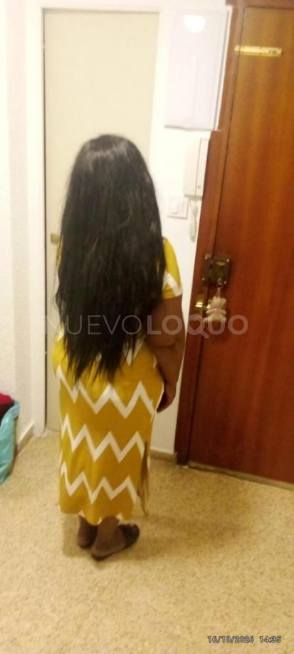 NuevoLoquo2