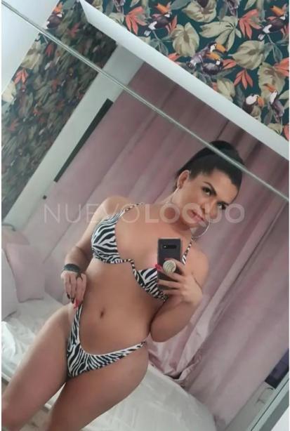 NuevoLoquo1