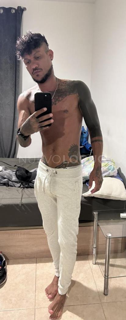 NuevoLoquo2