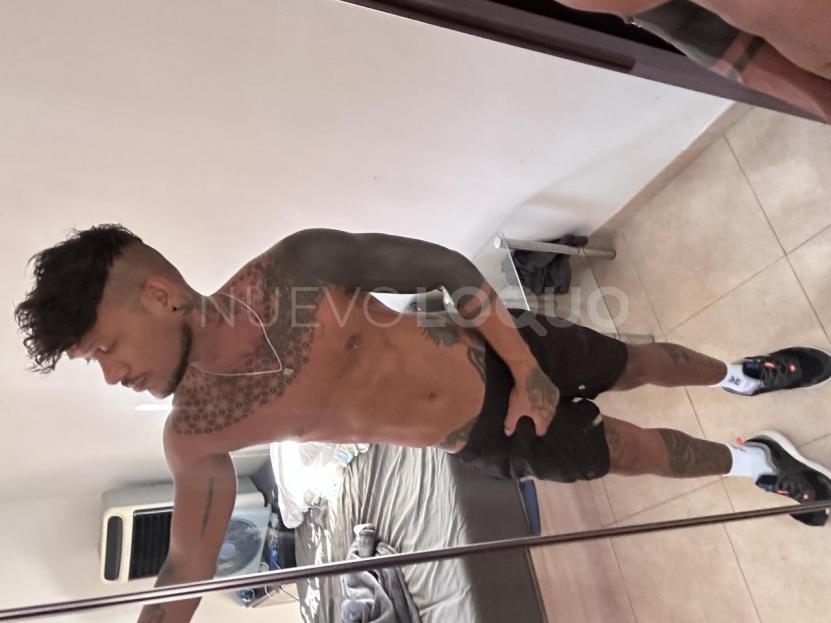 NuevoLoquo4