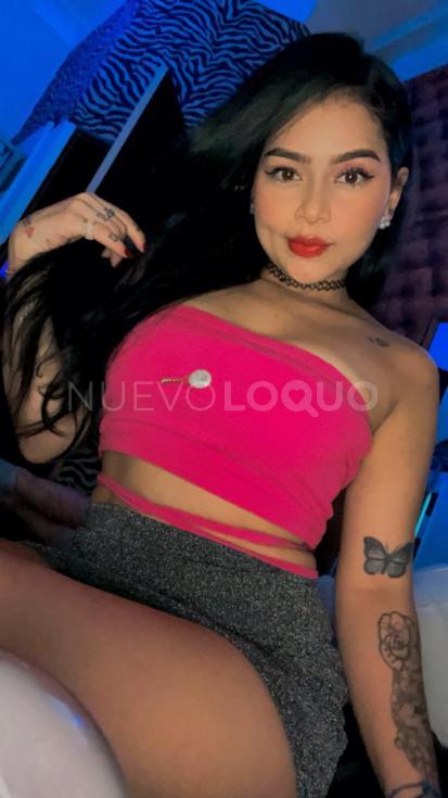 NuevoLoquo4