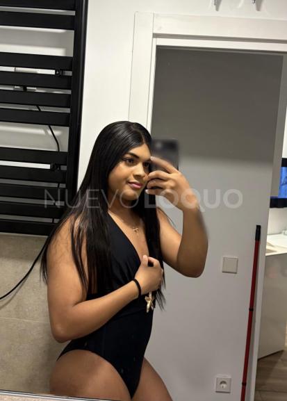 NuevoLoquo2