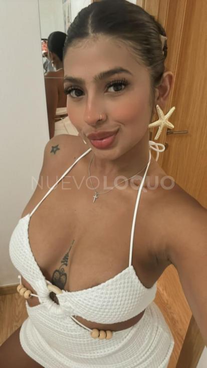 NuevoLoquo1