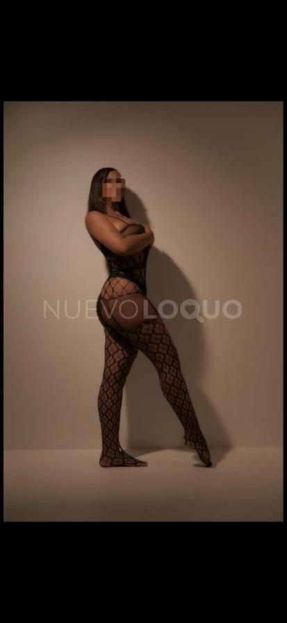 NuevoLoquo2