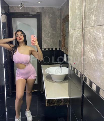 NuevoLoquo3
