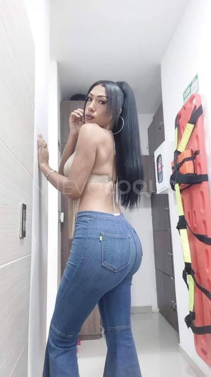 NuevoLoquo3