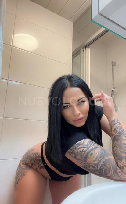 NuevoLoquo3
