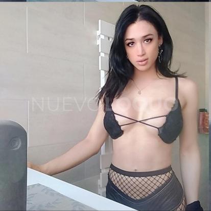 NuevoLoquo4