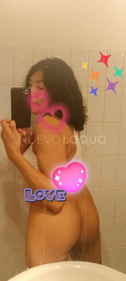NuevoLoquo3