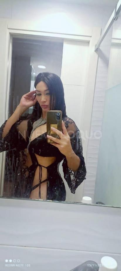 NuevoLoquo2