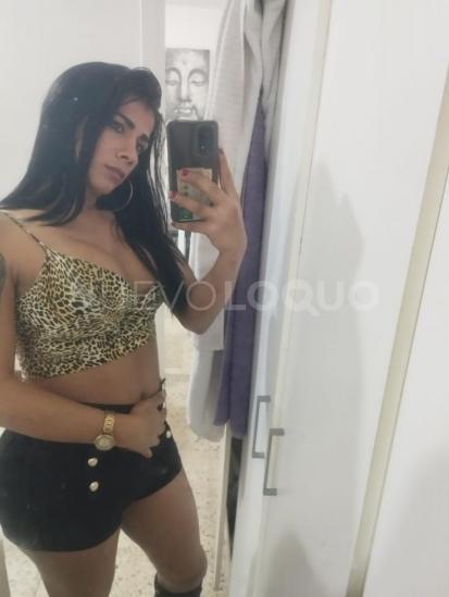 NuevoLoquo1