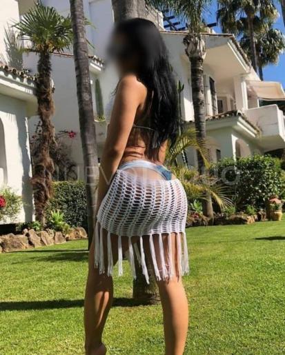 NuevoLoquo3