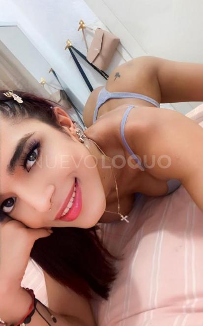 NuevoLoquo2
