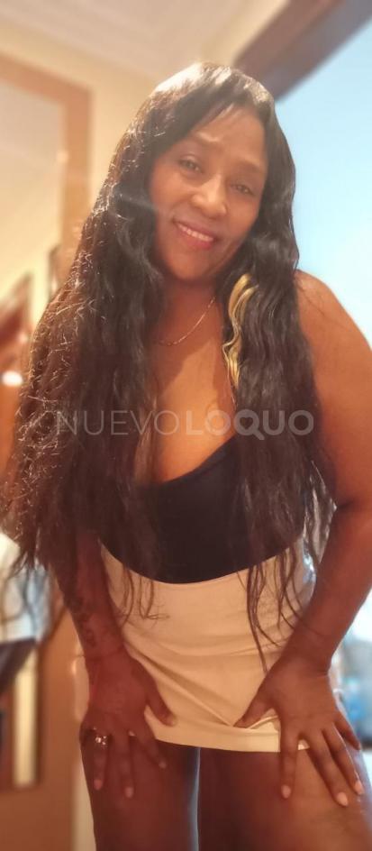 NuevoLoquo3
