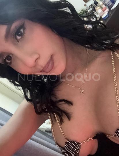 NuevoLoquo1