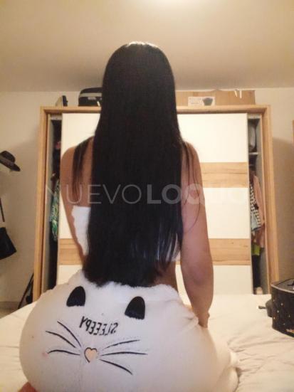 NuevoLoquo3