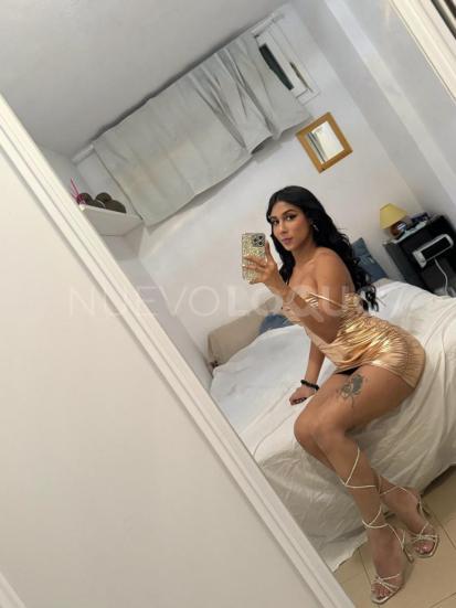 NuevoLoquo3