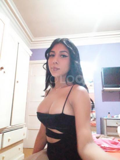 NuevoLoquo1