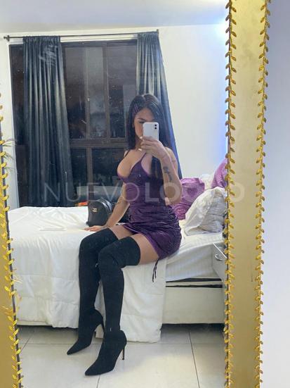 NuevoLoquo2