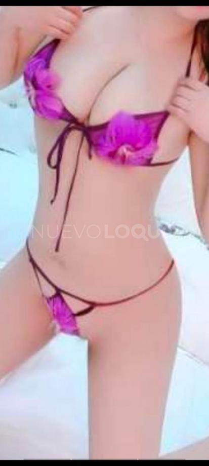 NuevoLoquo2