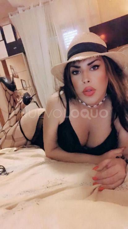 NuevoLoquo2