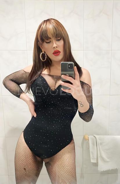 NuevoLoquo4