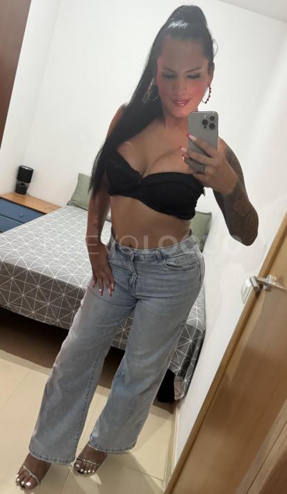 NuevoLoquo3