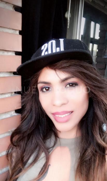  Trans latina