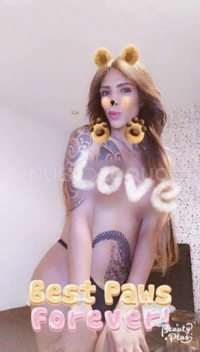 NuevoLoquo1