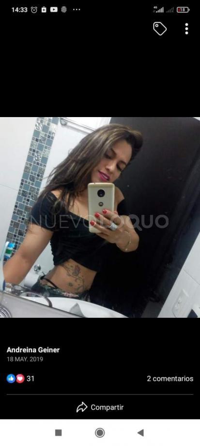 NuevoLoquo3