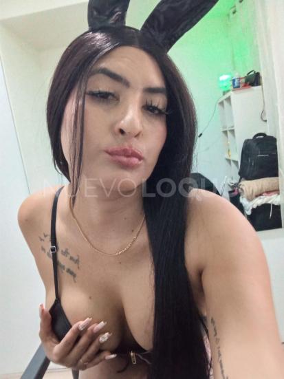 NuevoLoquo2