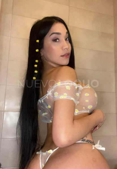 NuevoLoquo5