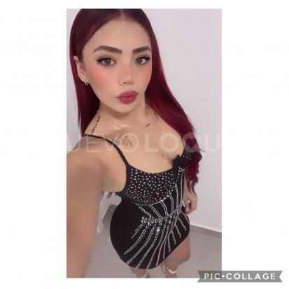 NuevoLoquo3