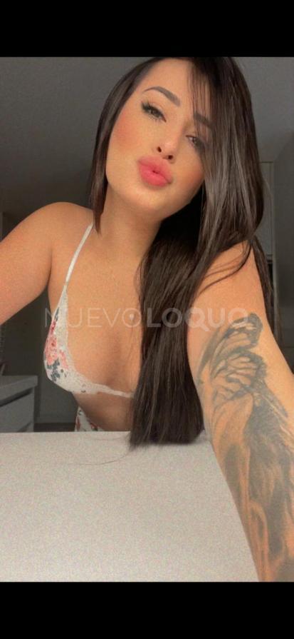 NuevoLoquo2