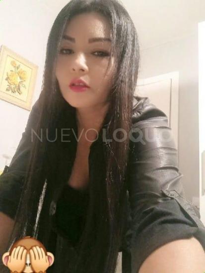 NuevoLoquo3