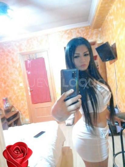 NuevoLoquo4